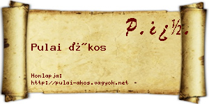 Pulai Ákos névjegykártya
